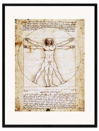 Impresión de arte enmarcada  Hombre de Vitruvio - Leonardo da Vinci