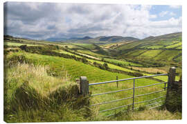 Lienzo  Green meadows near Dingle (Kerry, Ireland) - Christian Müringer