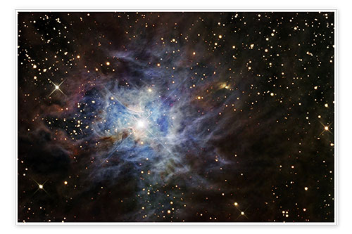 Póster The Iris Nebula
