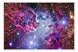 Póster The Fox Fur Nebula