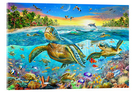 Cuadro de metacrilato  Turtle Cove - Adrian Chesterman