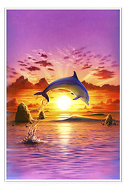 Póster  Day of the dolphin - sunset - Robin Koni