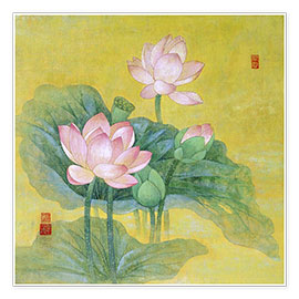 Póster Dream lotus