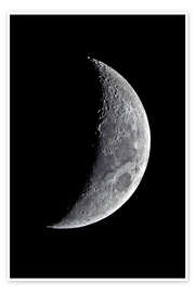 Póster new moon