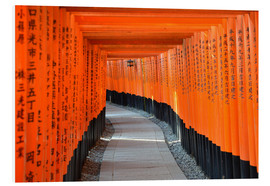Cuadro de PVC  Torii im Fushimi Inari Schrein en Kioto - HADYPHOTO