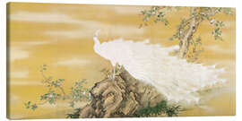 Lienzo  White Peafowl - Mochizuki Gyokkei