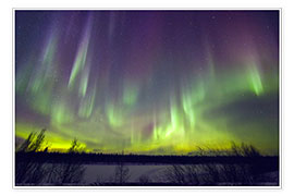 Póster  Aurora boreal en Finlandia - Juerg Alean