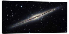 Lienzo  Spiral galaxy NGC 891, optical image - Robert Gendler