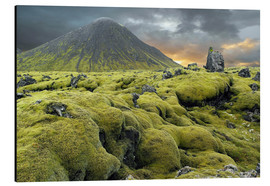 Cuadro de aluminio  Moss-covered lava field, Iceland - Tony Craddock