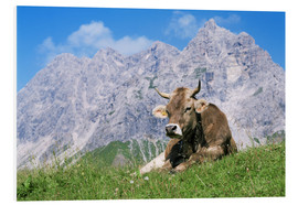 Cuadro de PVC  Cow on a mountain meadow - Bjorn Svensson