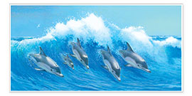 Póster  Leaping Dolphins - John Butler