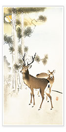 Póster Deer and roe deer in winter