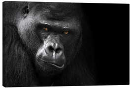 Lienzo  Cara del gorila - WildlifePhotography