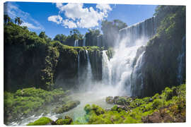 Lienzo  Waterfalls Foz de Iguazu - Michael Runkel