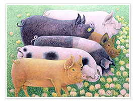 Póster  Pigs - Pat Scott