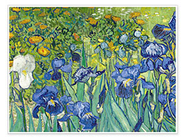 Póster  Iris - Vincent van Gogh