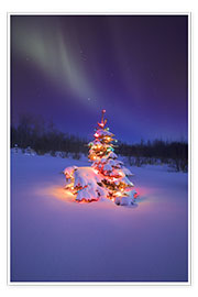 Póster  Árbol de Navidad y aurora boreal - Carson Ganci