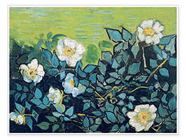 Póster  Rosas silvestres - Vincent van Gogh