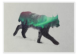 Póster  Lynx in the aurora borealis - Andreas Lie