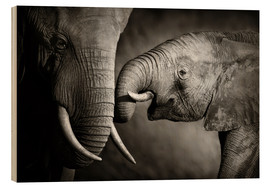 Cuadro de madera  Elefante bebé con su mamá - Johan Swanepoel