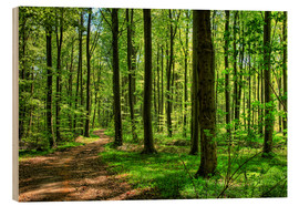 Cuadro de madera  Fragancia de primavera en el bosque