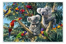 Póster  Familia koala - Steve Read