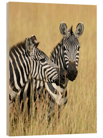 Cuadro de madera  Zebra friendship