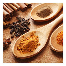 Póster  Herbs and spices on wood