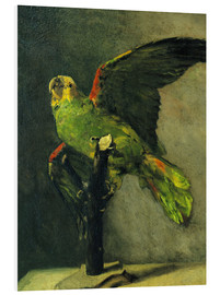 Cuadro de PVC  The green parrot - Vincent van Gogh