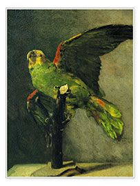 Póster  The green parrot - Vincent van Gogh