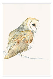 Póster  Barn Owl - Dearpumpernickel