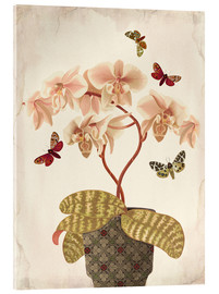 Cuadro de metacrilato  Retrato de una orquídea - Mandy Reinmuth