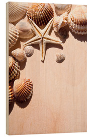 Cuadro de madera  Estrella de mar y conchas