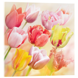 Cuadro de metacrilato  Various tulips