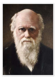 Póster Charles Darwin, 1881