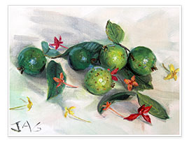 Póster  guavas and ixora2 - Jonathan Guy-Gladding
