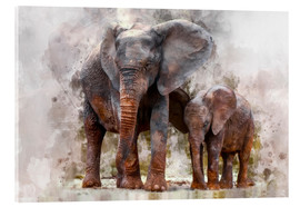 Cuadro de metacrilato  Elefantes - Peter Roder