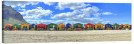 Lienzo  Coloridas casas de playa en Muizenberg - HADYPHOTO