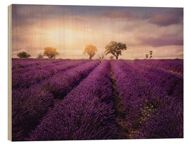 Cuadro de madera  Lavender field at sunset, Provence - Elena Schweitzer