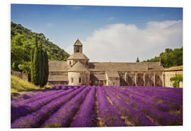 Cuadro de PVC  Senanque Abbey with lavender fields - Elena Schweitzer