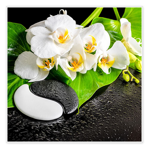 Póster Composición con orquídeas blancas
