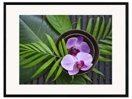 Impresión de arte enmarcada  Tropical Zen Orchid - Andrea Haase Foto