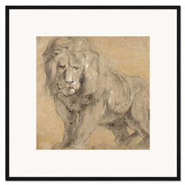 Impresión de arte enmarcada  Study of a lion - Peter Paul Rubens