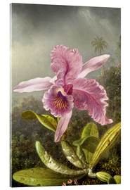 Cuadro de metacrilato  Hummingbird and orchid (detail) - Martin Johnson Heade