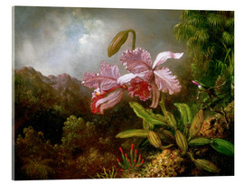 Cuadro de metacrilato  Orquídeas en la jungla - Martin Johnson Heade