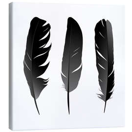 Lienzo  Three feathers