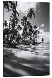 Lienzo  Palmeras tropicales en blanco y negro - Alex Saberi