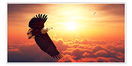 Póster  Águila pescadora sobre las nubes - Johan Swanepoel