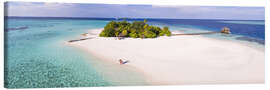 Lienzo  Dream island in the Maldives - Matteo Colombo