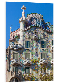 Cuadro de PVC  Fachada de la Casa Batlló, Barcelona - Neale Clarke